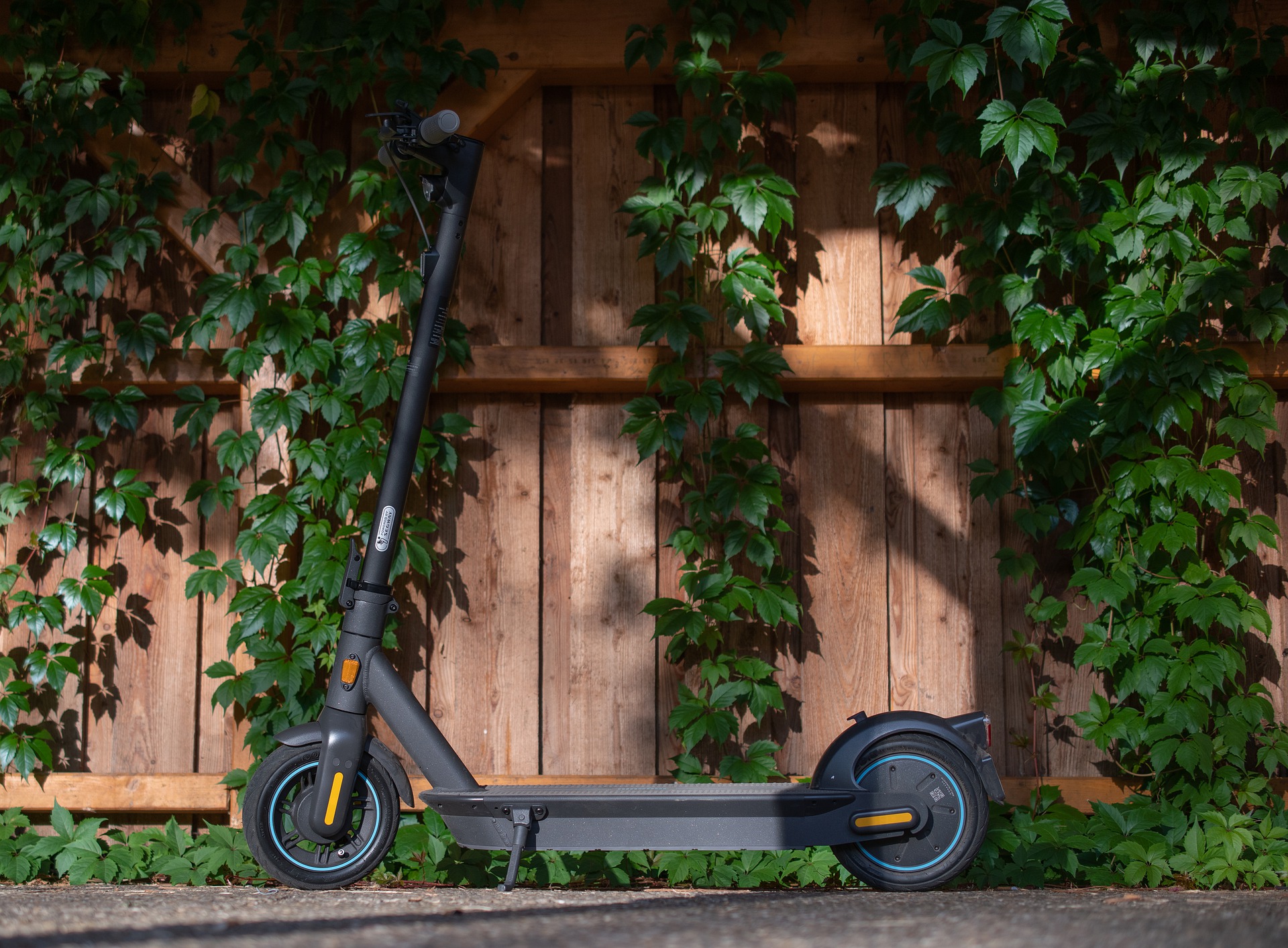 e-scooter e-scooter